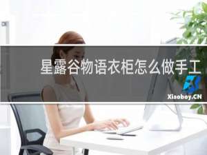 星露谷物语衣柜怎么做手工