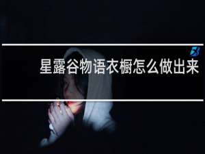 星露谷物语衣橱怎么做出来