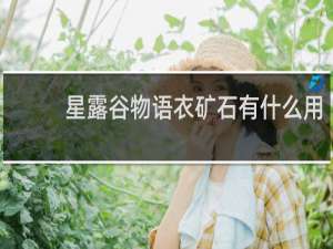 星露谷物语衣矿石有什么用