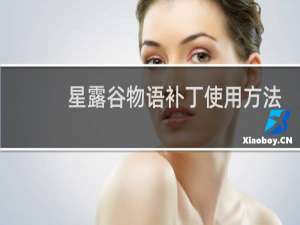 星露谷物语补丁使用方法