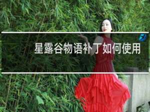 星露谷物语补丁如何使用