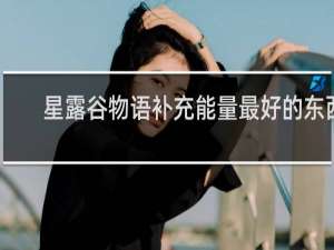 星露谷物语补充能量最好的东西
