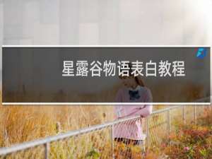 星露谷物语表白教程