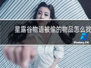 星露谷物语被偷的物品怎么找