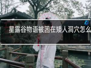 星露谷物语被困在矮人洞穴怎么办