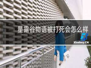星露谷物语被打死会怎么样