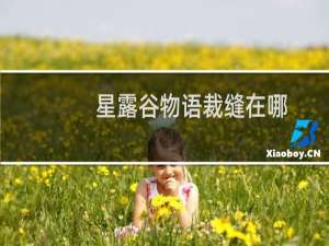 星露谷物语裁缝在哪