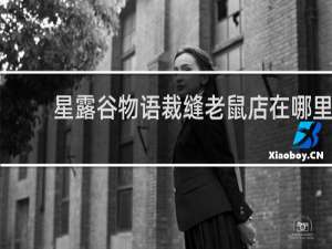 星露谷物语裁缝老鼠店在哪里