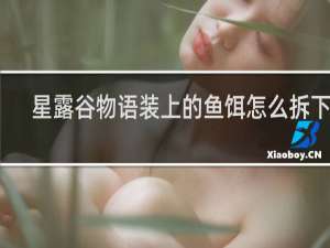 星露谷物语装上的鱼饵怎么拆下来