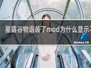 星露谷物语装了mod为什么显示不了