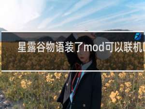 星露谷物语装了mod可以联机吗