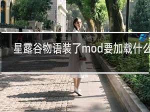 星露谷物语装了mod要加载什么用