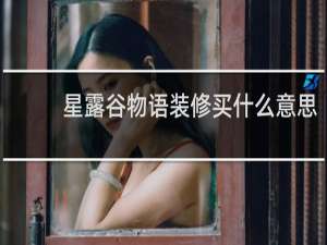 星露谷物语装修买什么意思