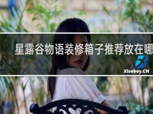 星露谷物语装修箱子推荐放在哪里