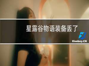 星露谷物语装备丢了