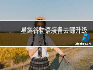 星露谷物语装备去哪升级