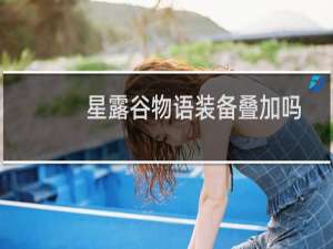 星露谷物语装备叠加吗