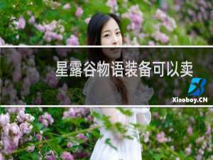 星露谷物语装备可以卖