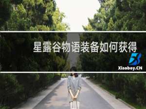 星露谷物语装备如何获得
