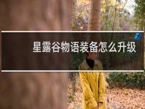 星露谷物语装备怎么升级