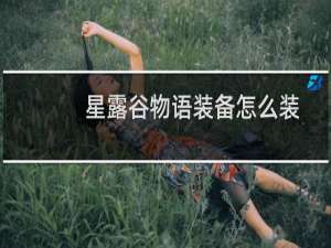 星露谷物语装备怎么装