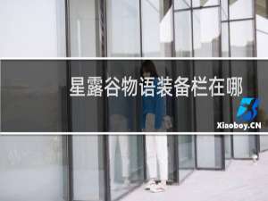 星露谷物语装备栏在哪