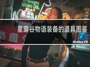 星露谷物语装备的道具图鉴