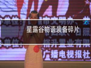 星露谷物语装备碎片