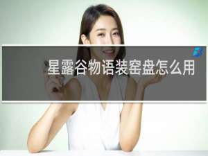 星露谷物语装窑盘怎么用