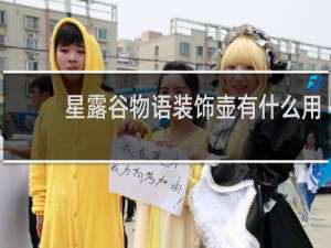 星露谷物语装饰壶有什么用