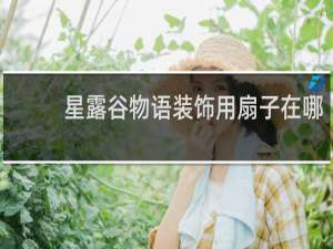 星露谷物语装饰用扇子在哪