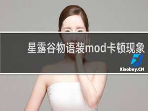 星露谷物语装mod卡顿现象