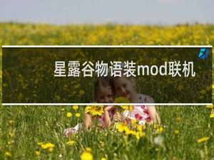 星露谷物语装mod联机