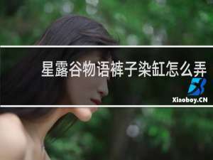 星露谷物语裤子染缸怎么弄