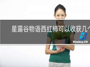 星露谷物语西红柿可以收获几个