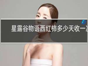 星露谷物语西红柿多少天收一次