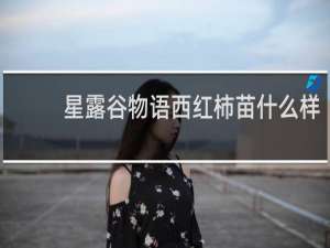 星露谷物语西红柿苗什么样