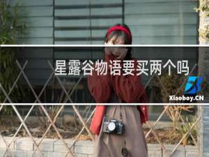 星露谷物语要买两个吗
