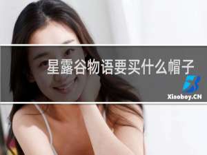 星露谷物语要买什么帽子
