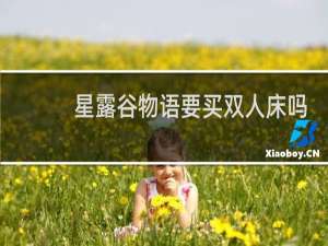 星露谷物语要买双人床吗