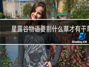 星露谷物语要割什么草才有干草