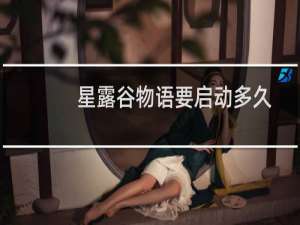 星露谷物语要启动多久