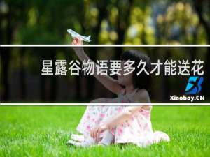 星露谷物语要多久才能送花