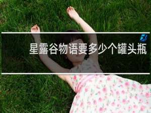 星露谷物语要多少个罐头瓶