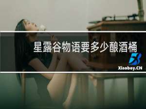 星露谷物语要多少酿酒桶