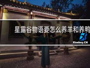 星露谷物语要怎么养羊和养鸭