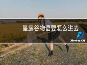 星露谷物语要怎么进去