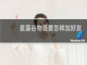 星露谷物语要怎样加好友