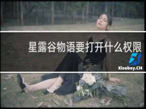 星露谷物语要打开什么权限
