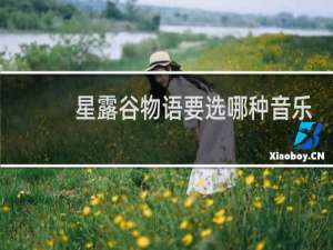 星露谷物语要选哪种音乐